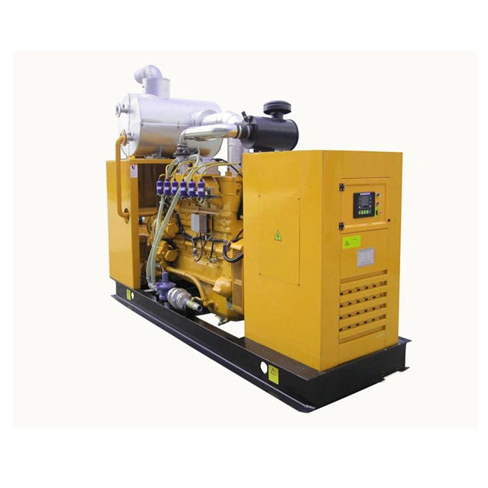 Biogas Generator For Electricity